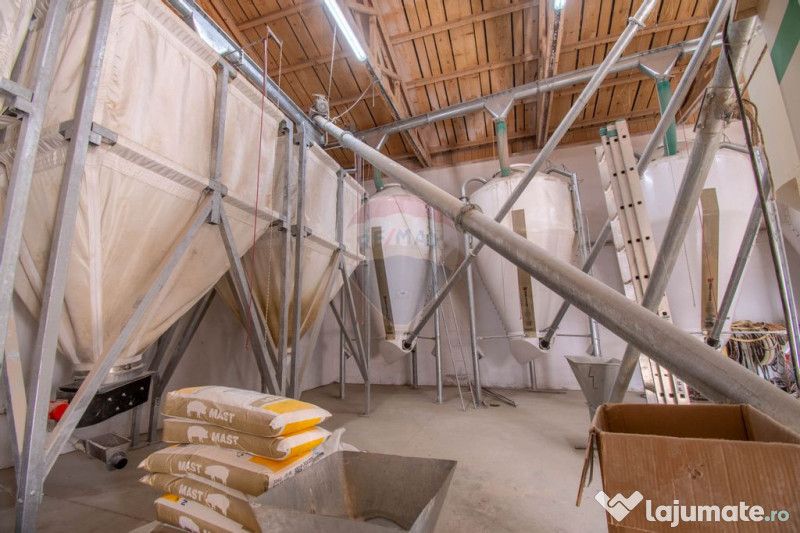 Ferma moderna de porci de vanzare in Curtuiusu Dejului