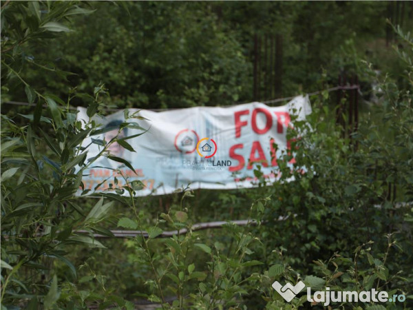 Teren intravilan cu PUZ