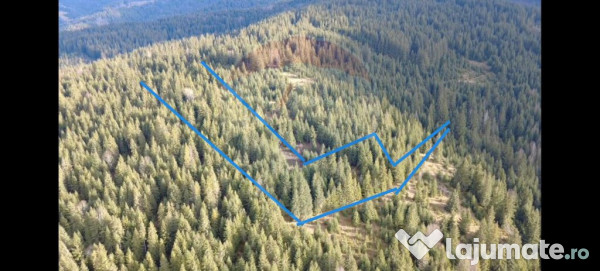 Teren 17,895mp Dorna-Arini / Prelungirea Cozănești 