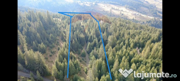 Teren 17,895mp Dorna-Arini / Prelungirea Cozănești 