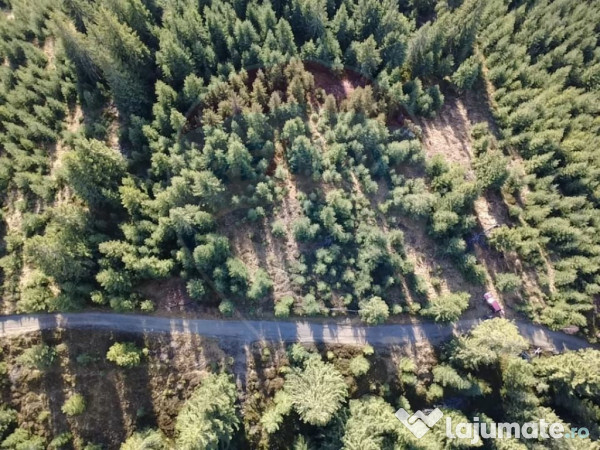 Teren 17,895mp Dorna-Arini / Prelungirea Cozănești 