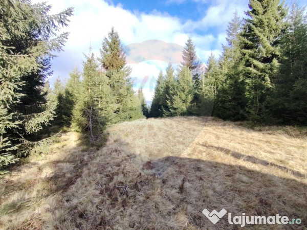 Teren 17,895mp Dorna-Arini / Prelungirea Cozănești 