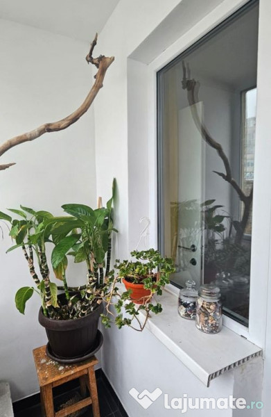 Apartament 2 camere zona Tomis III