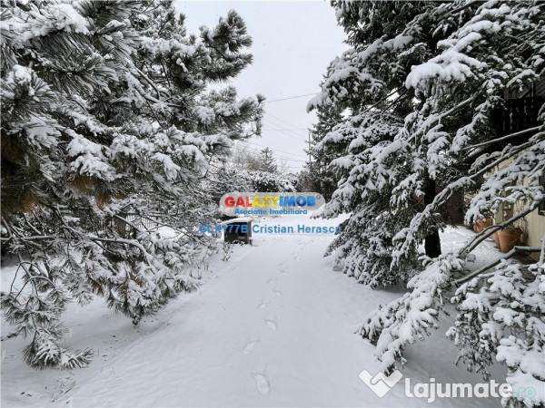 Otopeni Ana Aslan Str Valea Pasarii P 1 SU 340 mp teren 1500