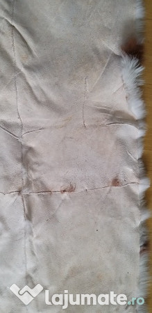 Covor blana iepure piele original 