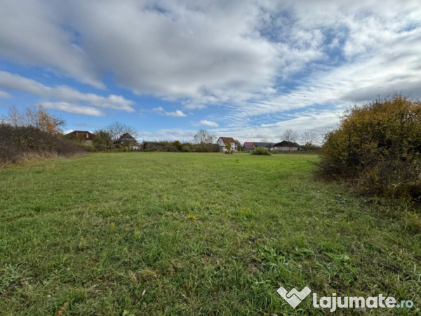 Teren intravilan de vânzare – 35 ari, Sat Mogoșești, co 
