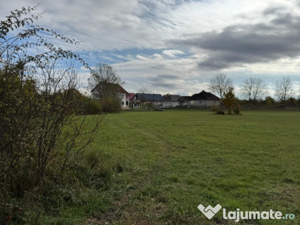 Teren intravilan de vânzare – 35 ari, Sat Mogoșești, co 