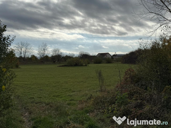 Teren intravilan de vânzare – 35 ari, Sat Mogoșești, co 