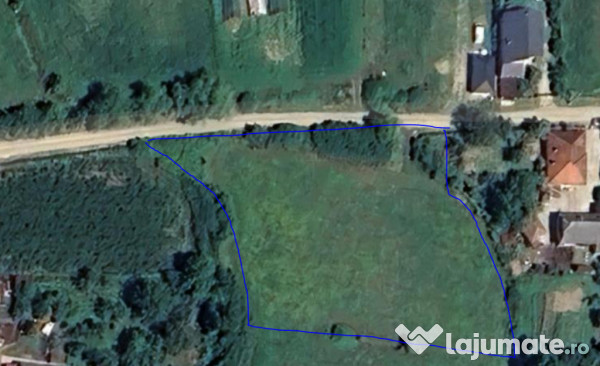 Teren intravilan de vânzare – 35 ari, Sat Mogoșești, co 