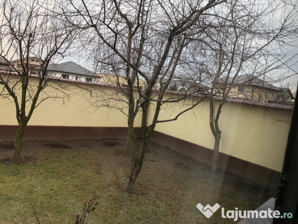 Taieri pomi fructiferi 