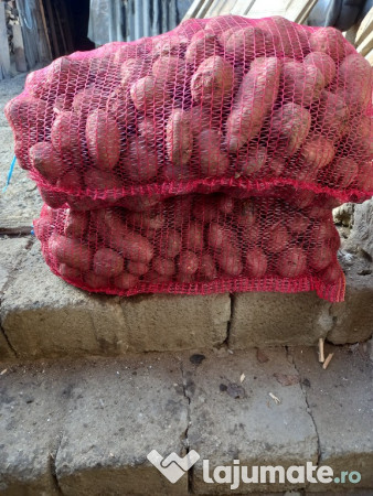 Cartofi pentru animale 