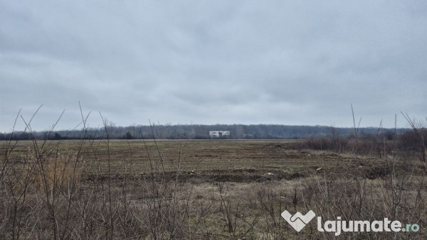 Teren intravilan 49309 mp - sos. De Centura pentru Parcur...