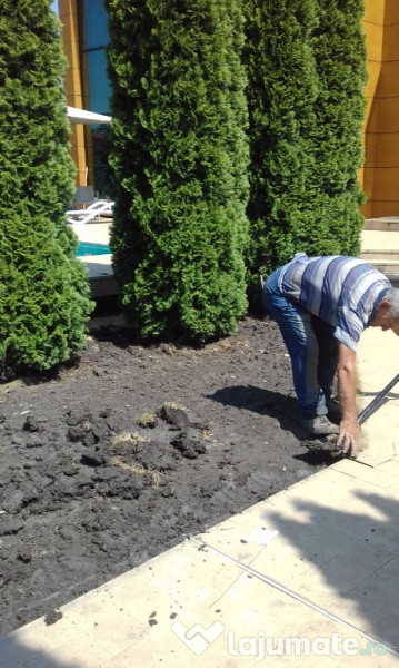 Irigatii automatizate gazon 