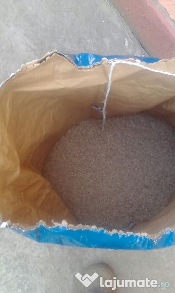 Irigatii automatizate gazon 