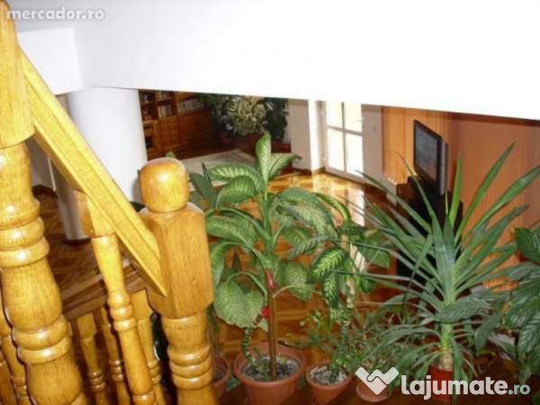 Proprietar casa Calea Dumbravii Sub Arini