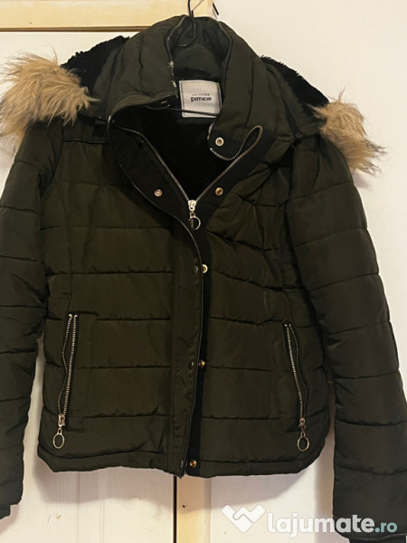 Geci ele nu sunt noi 