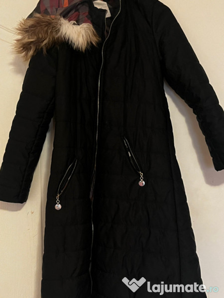 Geci ele nu sunt noi 