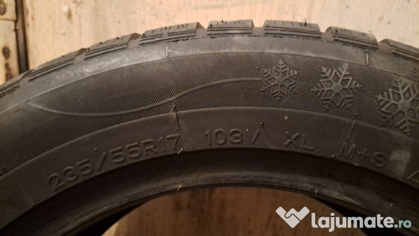 Cauciucuri 225 55 17 