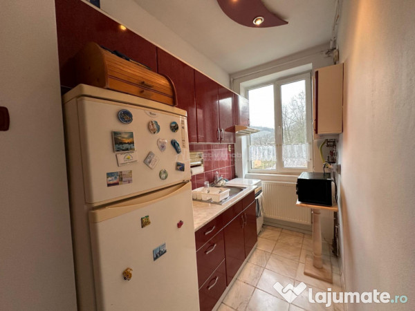 Resita, 2 Cam,Cf.1, Decom. Garaj, Marginea 